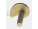 ECCENTRICO REG.GAN.POST.DX 110 130_X85744
