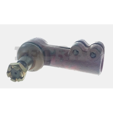 TESTA S S ANTER.110NC 135.17 65.12_X88828