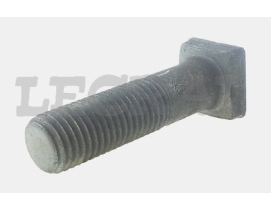 BULLONE RAGGERA 16X55 TESTA Q.TIGR _X83397