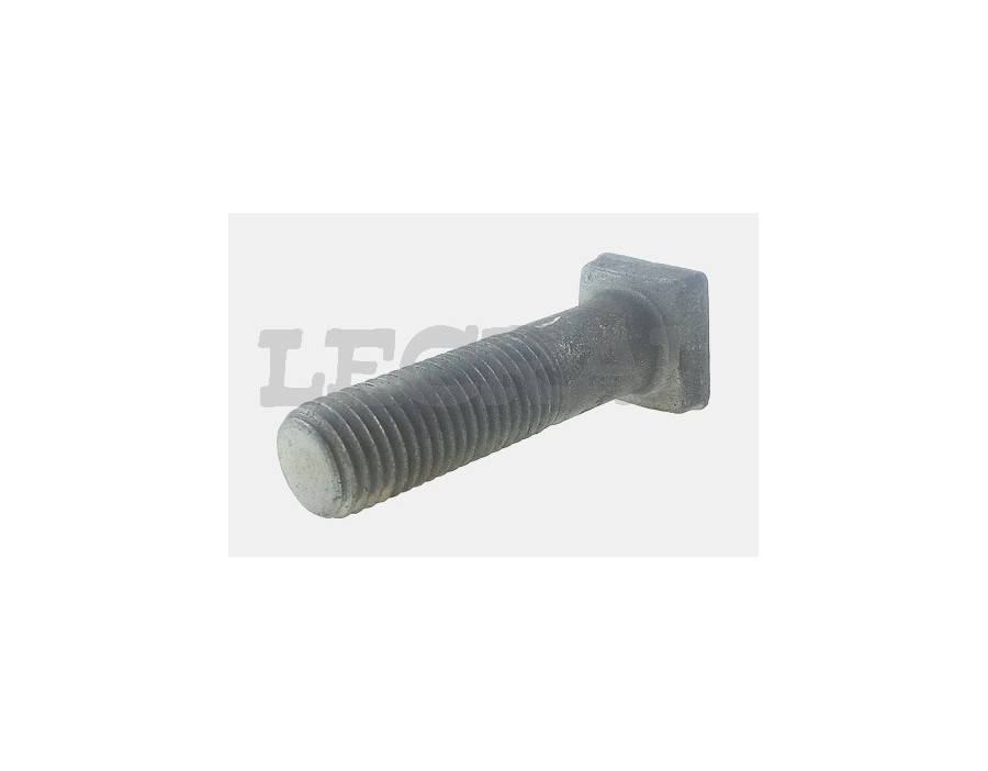 BULLONE RAGGERA 16X55 TESTA Q.TIGR _X83397