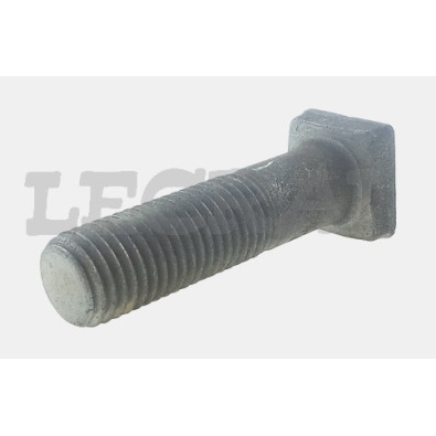 BULLONE RAGGERA 16X55 TESTA Q.TIGR _X83397