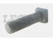 BULLONE RAGGERA 16X55 TESTA Q.TIGR _X83397