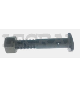 BULLONE RAGGERA POST.18X105 C.D.682_X83404