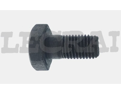 BULLONE POMPA INIEZIONE 697 300 330_X83413