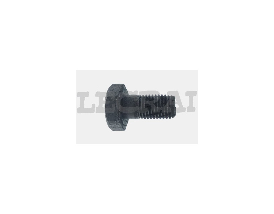 BULLONE POMPA INIEZIONE 697 300 330_X83413