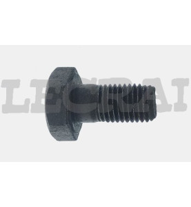 BULLONE POMPA INIEZIONE 697 300 330_X83413
