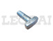 BULLONE RAGGERA ANT.20X60 330 190E3_X83414