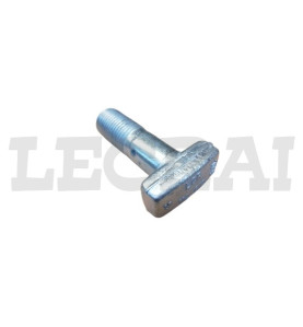 BULLONE RAGGERA ANT.20X60 330 190E3_X83414