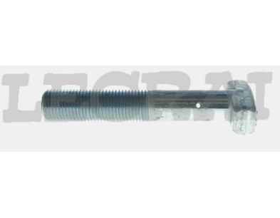BULLONE RAGGERA POST.20X115 330 190_X83415