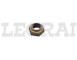 DADO ANT.ALB.PRIM.DIAM.18 LEO LUP D_X83545