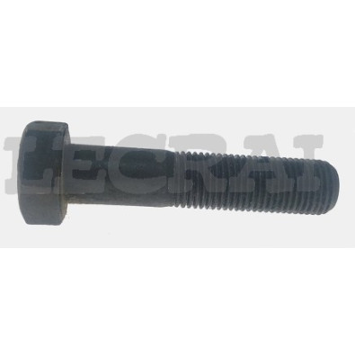 VITE FISS.BLOCCH.P.FUSI 697 300 330_X84204