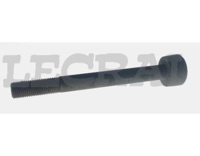 BULLONE CENTRALE 682 690 14X135 T17_X85239