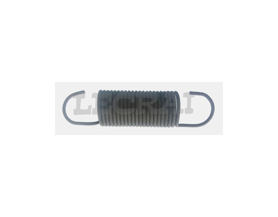 MOLLA RICHIAMO ACCELERATORE 110 697_X86203