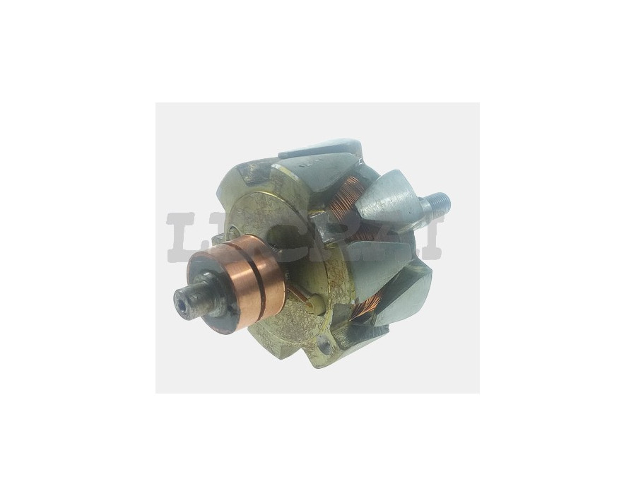 ROTORE ALTERNATORE F124 125 131 132_X89172