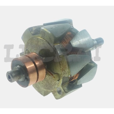 ROTORE ALTERNATORE F124 125 131 132_X89172
