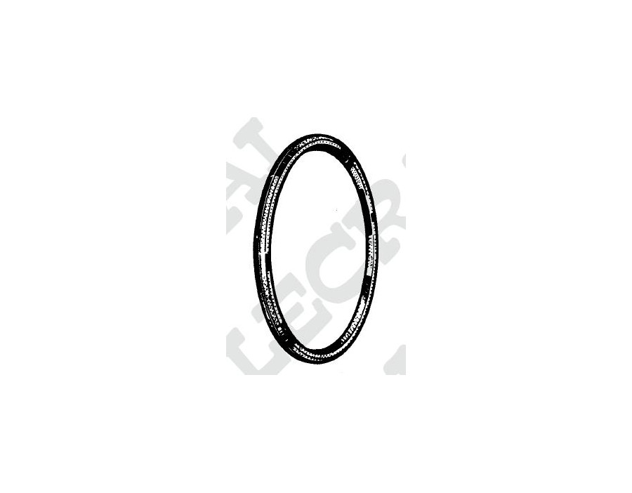 ANELLO SCATOLA DIFFERENZIALE _X83069