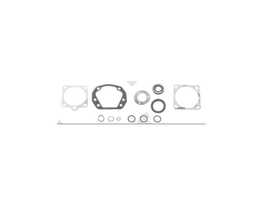 KIT REVIS.VALVOLA STERZO 697 300 4561812_X87459