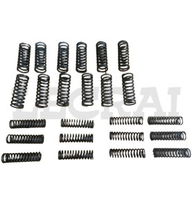KIT MOLLE FRIZIONE INTERNE E ESTERNE 12+12 FIAT682_X86114