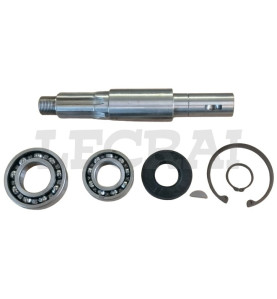 KIT ALBERO DISTRIBUZIONE F.682 CON CUSCINETTI PARAOLIO E CHIAVETTA_X83121