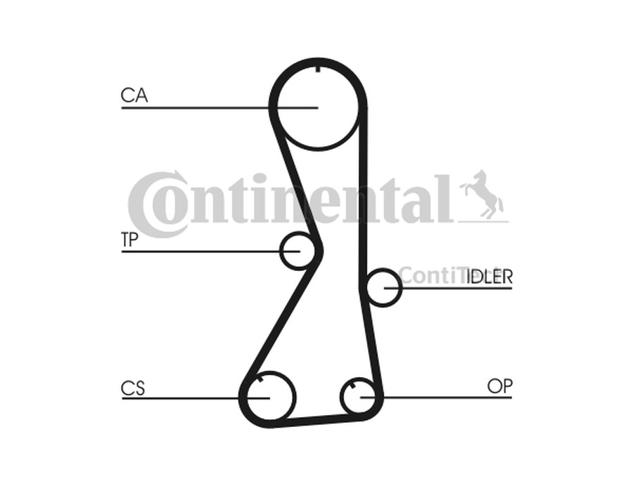 RULLO TENDITORE, CINGHIA POLY-V_CT1016