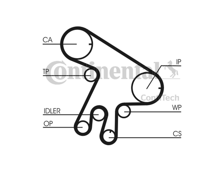 SMORZATORE VIBRAZIONI, CINGHIA POLY-V_CT1043