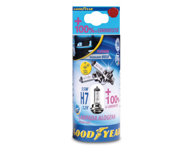 2 LAMPADE H7 12V 55W COMPLETAMENTE PLA