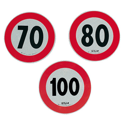 ADESIVO VELOCITÀ OMOLOGATO 100