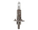 LAMPADE H1 12V 55W 10PZ-