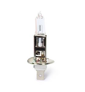 LAMPADINA MOTO H1 12V 55W