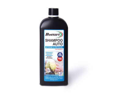 SHAMPOO AUTO LUCIDANTE 1 LT