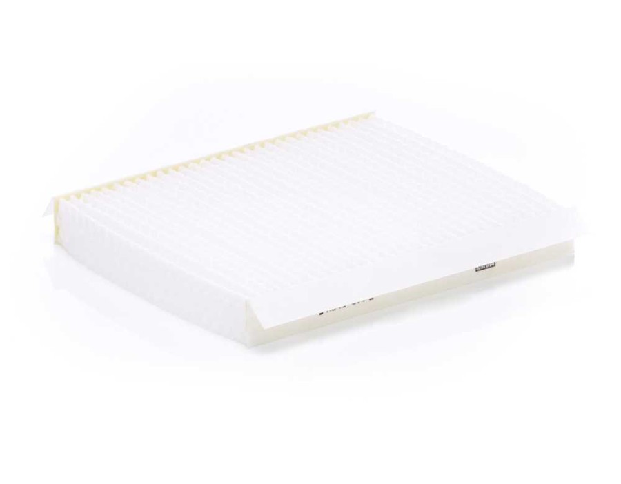 SPAZZOLA TERGI_CU2454