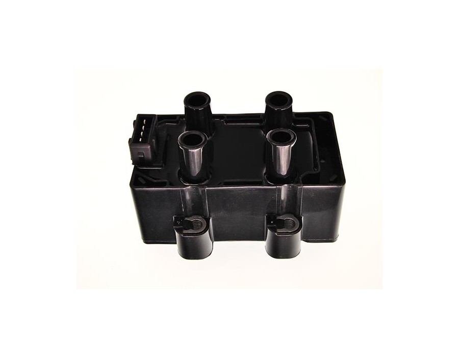 CINGHIA DENTATA_MG-28075