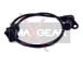 CINGHIA POLY-V_6238325/MG