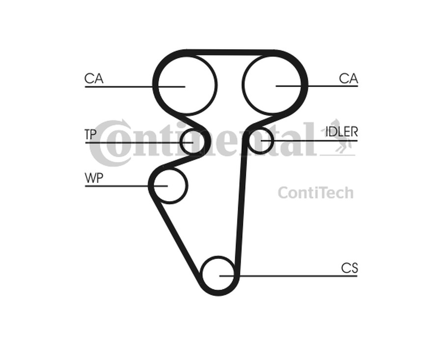 PARAOLIO, ALBERO A CAMME_CT996