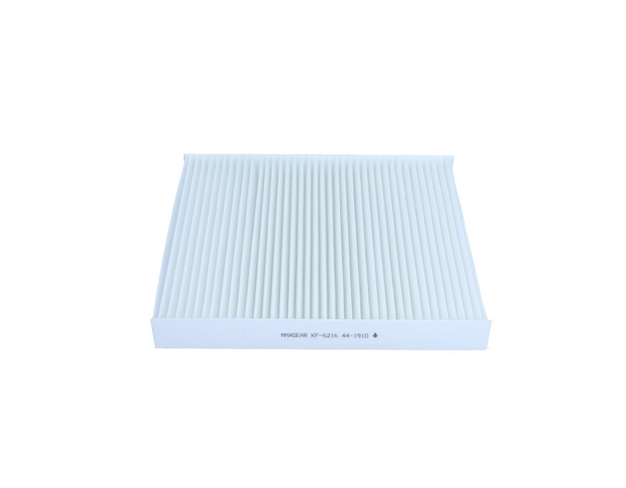 CINGHIA POLY-V_KF-6216