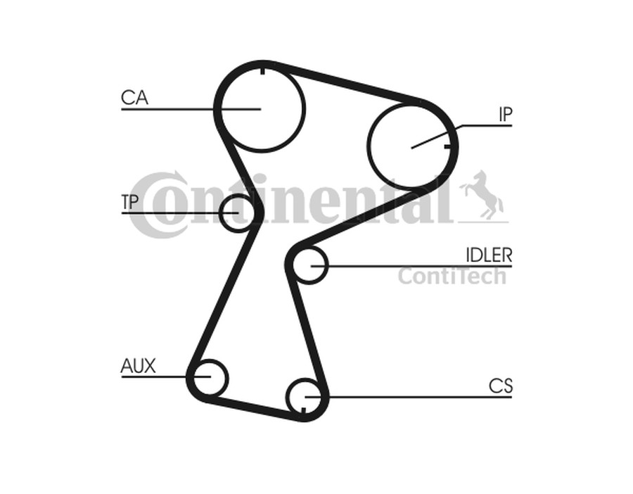 KIT CINGHIE DENTATE_CT1026K1