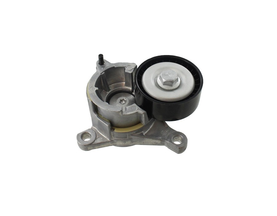 FLESSIBILE DEL FRENO_VKM33019