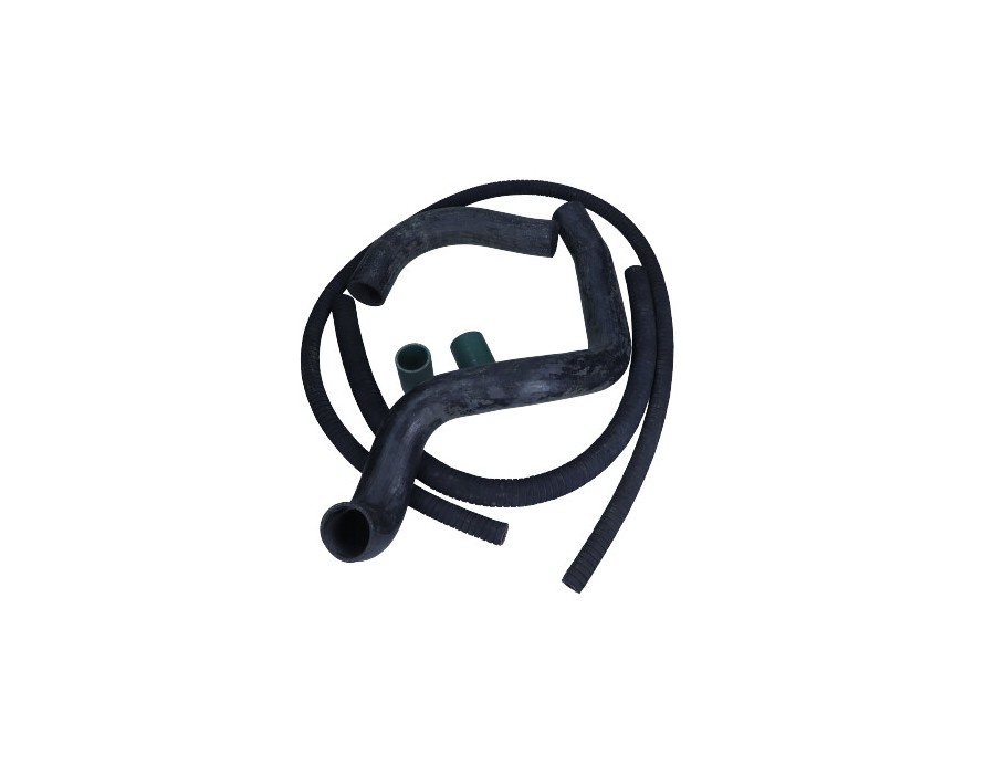 CINGHIA DENTATA_IVLEMA9935