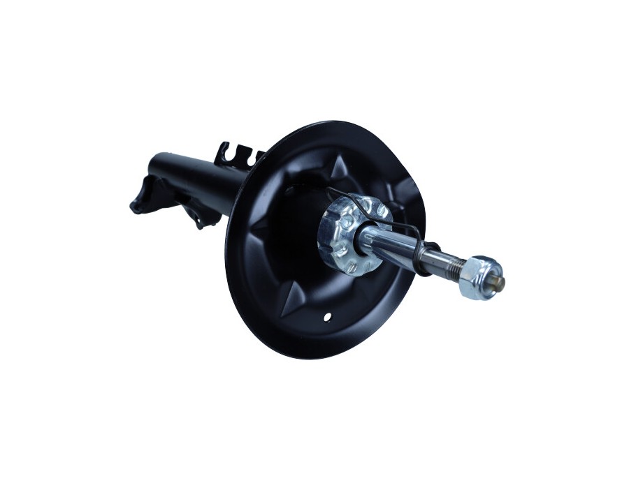 SPAZZOLA TERGI_MGA-2038