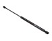 AMMORTIZZATORE PNEUMATICO, COFANO MOTORE_GS0216