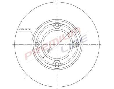 T24_COPPIA DISCHI FRENO DIAM 210 PIENO