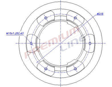 T24_COPPIA DISCHI FRENO DIAM 306 PIENO OE 42471150