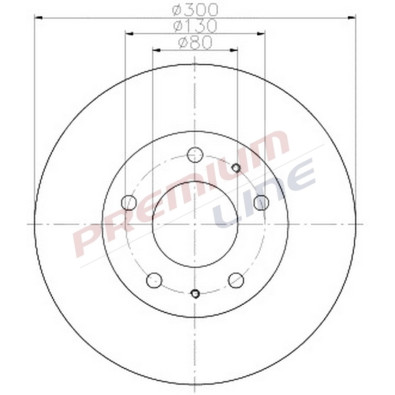 T24_COPPIA DISCHI FRENO DIAM 300 VENTILATO