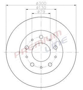 T24_COPPIA DISCHI FRENO DIAM  300 PIENOOE 51740250