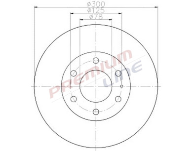 T24_COPPIA DISCHI FRENO DIAM 300 VENTILATO