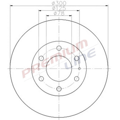 T24_COPPIA DISCHI FRENO DIAM 300 VENTILATO