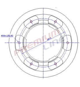 T24_COPPIA DISCHI FRENO DIAM 305/5 VENTILATO OE 2996049