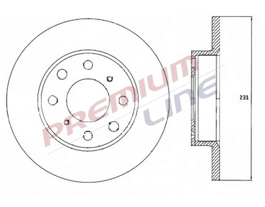T24_COPPIA DISCHI FRENO DIAM 231 PIENO
