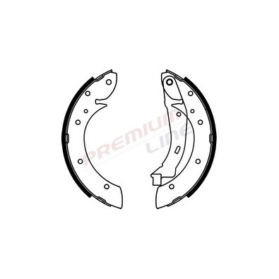 T24_SERIE GANASCE FRENO POST (228/6X42)