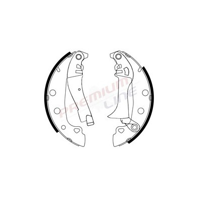 T24_SERIE GANASCE FRENO POST (228/6X42)